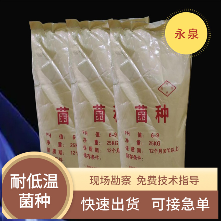 微生物菌种 微生物菌种
